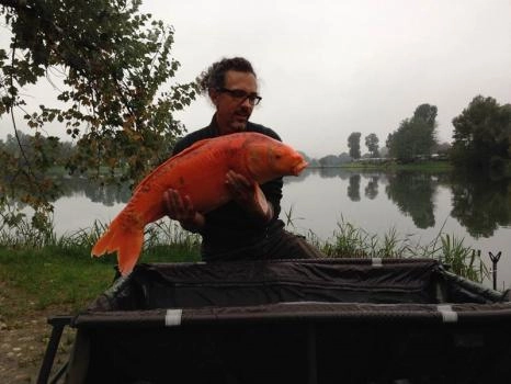 zobacz camping - zdjęcie 21