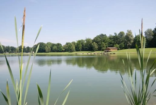 zobacz camping - zdjęcie 16