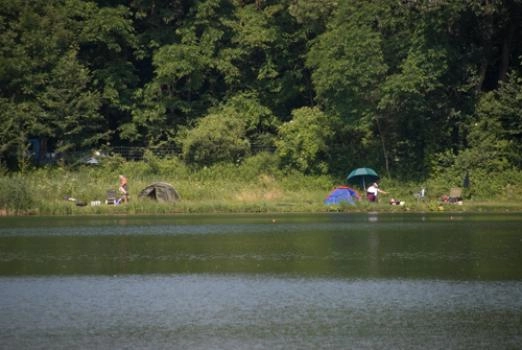 zobacz camping - zdjęcie 12