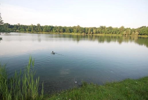 zobacz camping - zdjęcie 9