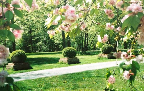 zobacz camping - zdjęcie 5