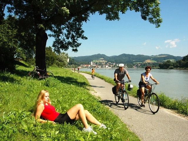 zobacz camping - zdjęcie 12