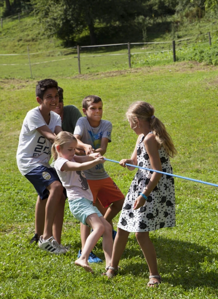 zobacz camping - zdjęcie 25