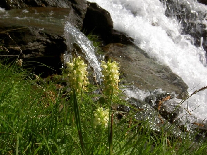 zobacz camping - zdjęcie 19