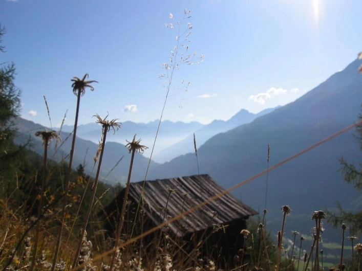 zobacz camping - zdjęcie 18