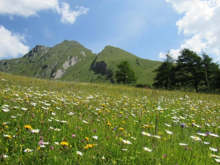 zobacz camping - zdjęcie 10