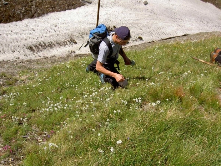 Camping Bergkristall Hinterbichl - zdjęcie 2
