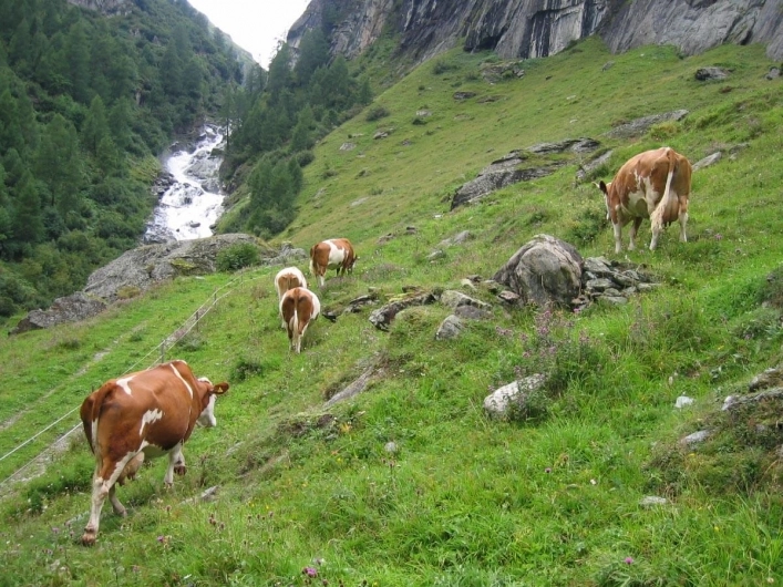 zobacz camping - zdjęcie 2