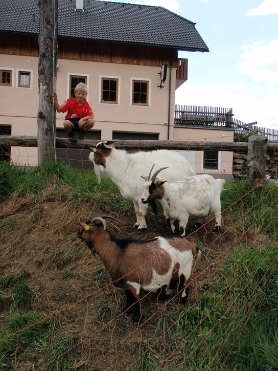 zobacz camping - zdjęcie 21