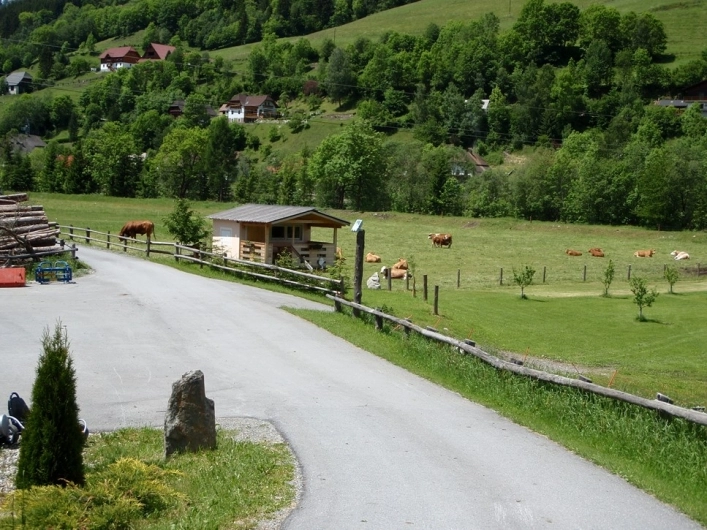 zobacz camping - zdjęcie 20