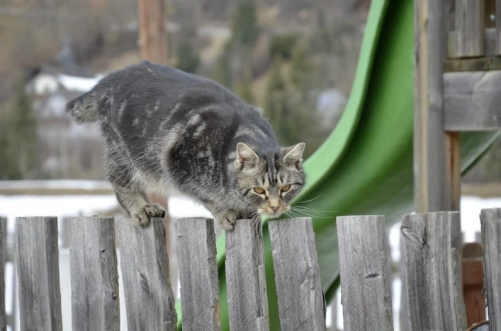 zobacz camping - zdjęcie 14