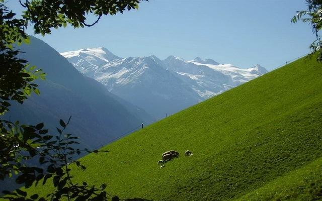 zobacz camping - zdjęcie 12