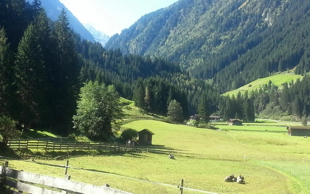 zobacz camping - zdjęcie 6