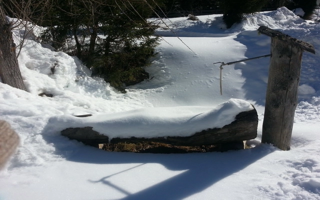 Camping Edelweiß - zdjęcie 1