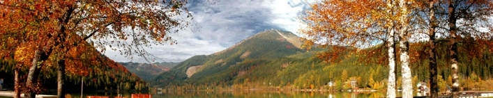 zobacz camping - zdjęcie 2