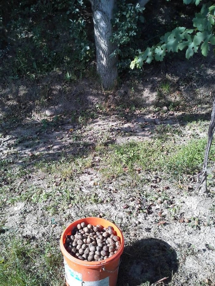 Camping Ettenauer - zdjęcie 2