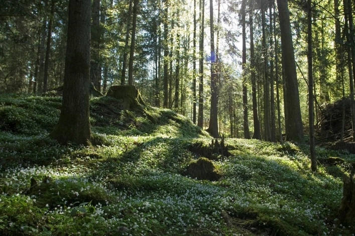 zobacz camping - zdjęcie 25