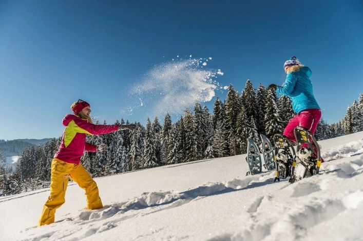 zobacz camping - zdjęcie 16