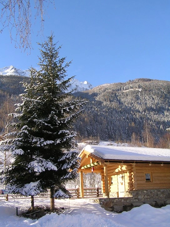 zobacz camping - zdjęcie 21