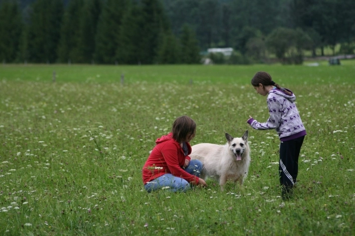 zobacz camping - zdjęcie 12