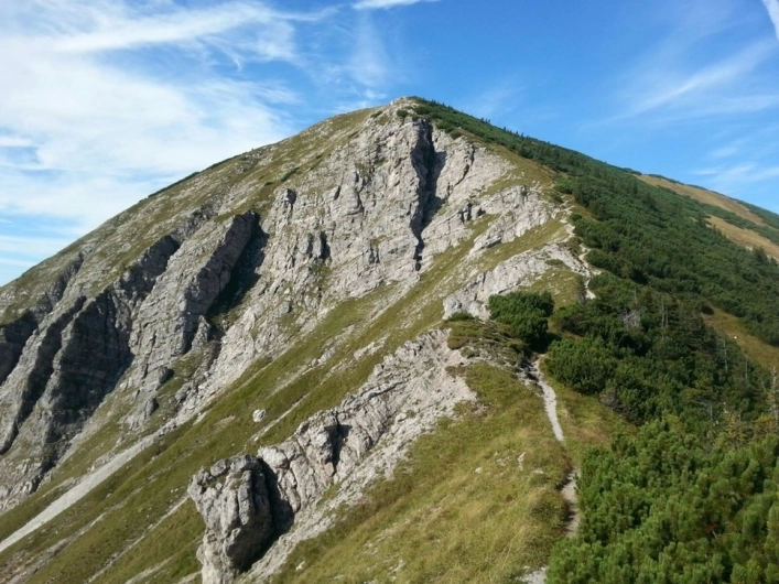 zobacz camping - zdjęcie 9