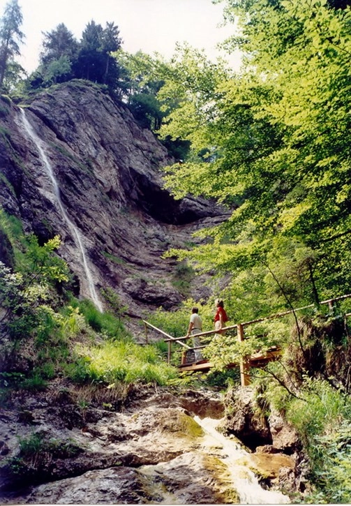 Camping Grabner - zdjęcie 2