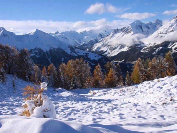 zobacz camping - zdjęcie 25