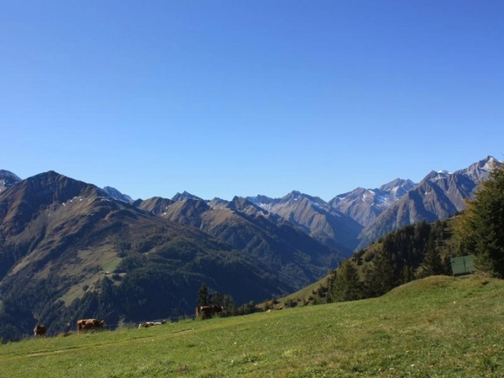 zobacz camping - zdjęcie 18