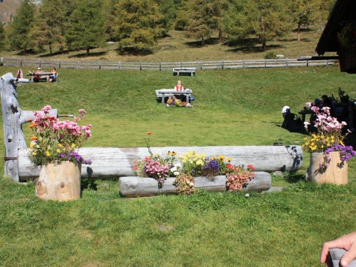 zobacz camping - zdjęcie 16