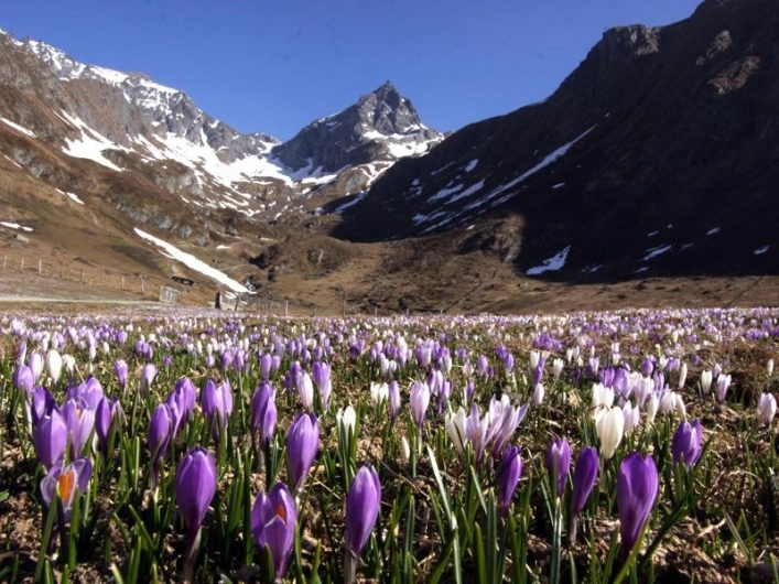 zobacz camping - zdjęcie 13