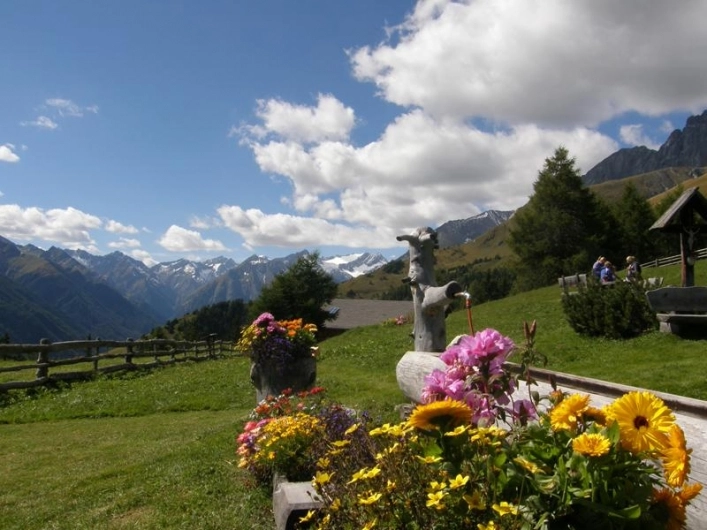 zobacz camping - zdjęcie 11