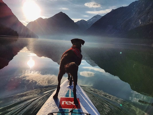 zobacz camping - zdjęcie 10