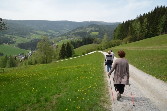 zobacz camping - zdjęcie 1