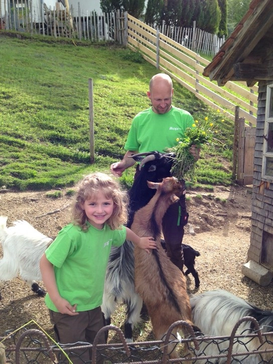 zobacz camping - zdjęcie 17