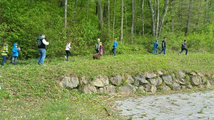 zobacz camping - zdjęcie 18