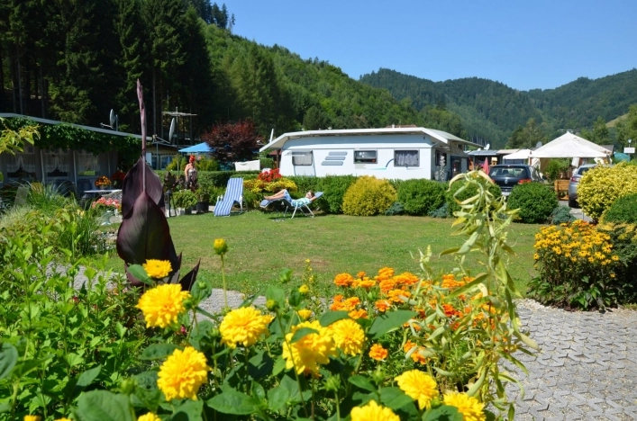 zobacz camping - zdjęcie 8