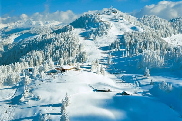 zobacz camping - zdjęcie 10