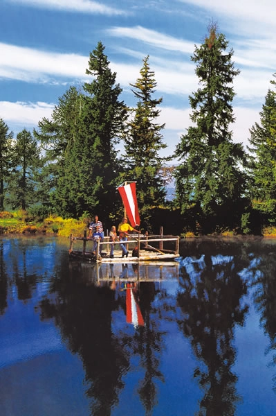 zobacz camping - zdjęcie 9