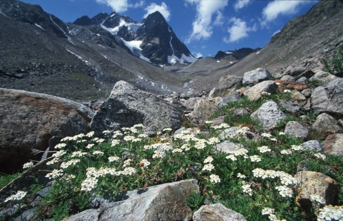 zobacz camping - zdjęcie 24