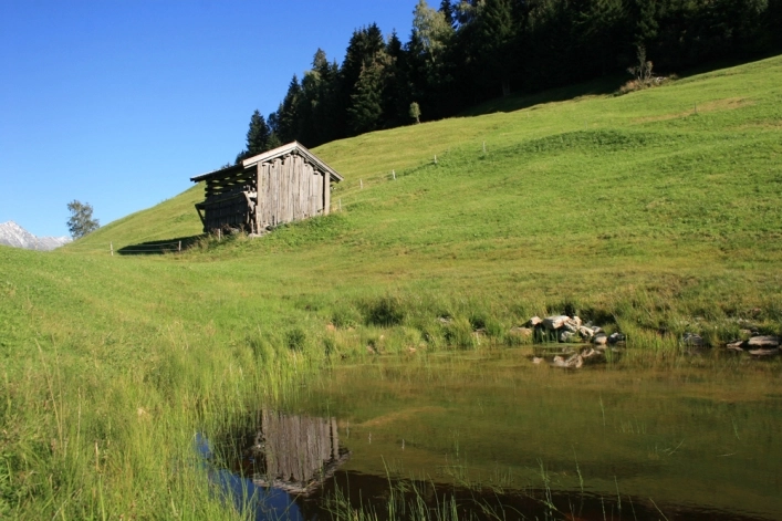 zobacz camping - zdjęcie 20