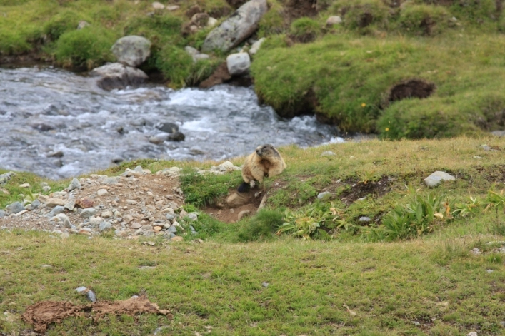 zobacz camping - zdjęcie 19