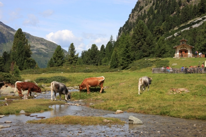zobacz camping - zdjęcie 9