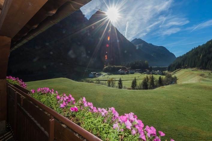 zobacz camping - zdjęcie 8