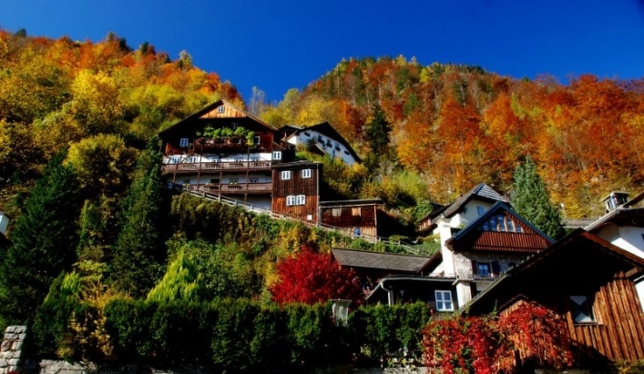 zobacz camping - zdjęcie 21