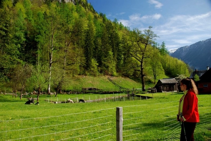 zobacz camping - zdjęcie 20