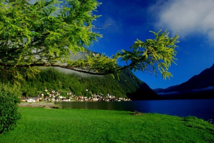 zobacz camping - zdjęcie 19