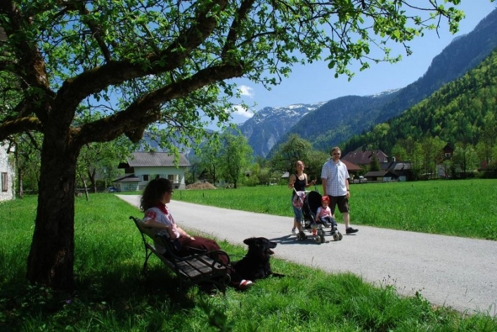 zobacz camping - zdjęcie 18