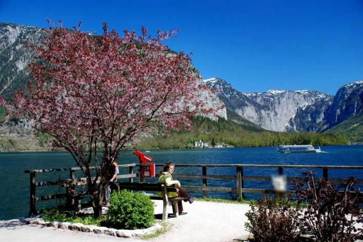 zobacz camping - zdjęcie 17