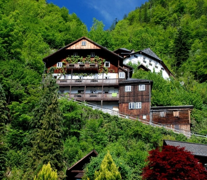 zobacz camping - zdjęcie 16