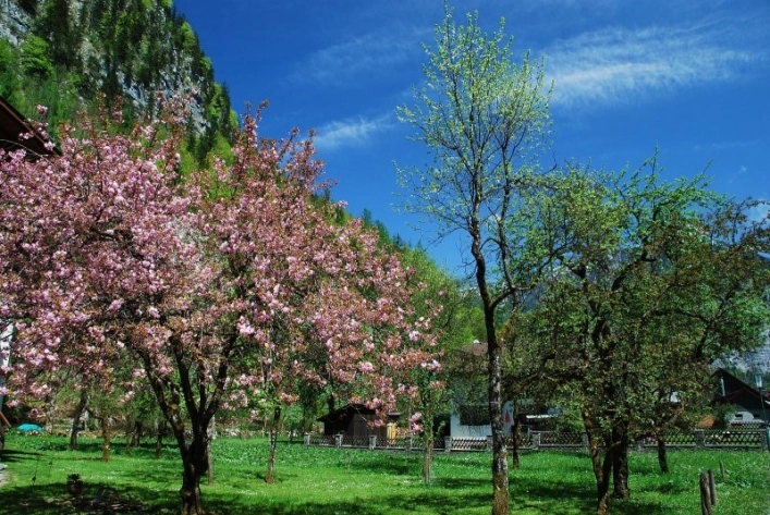 zobacz camping - zdjęcie 10